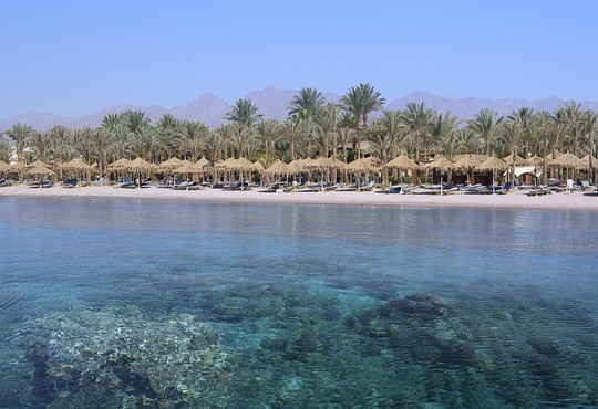 Sharm Dreams Resort 5* - снимка - 28