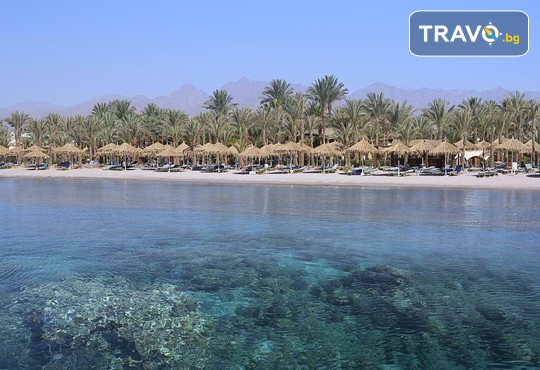 Sharm Dreams Resort 5* - снимка - 28