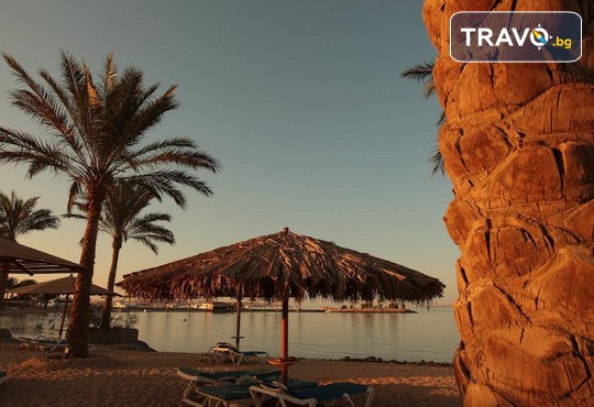 Continental Hotel Hurghada 5* - снимка - 18