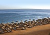 Hilton Hurghada Long Beach Resort - thumb 24